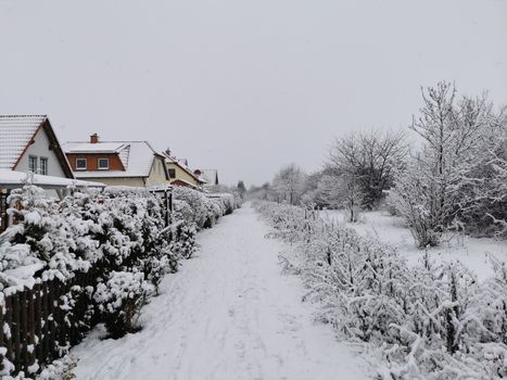 Sneeuw op een Nederlandse snelweg met auto's in langzaam verkeer tijdens winterweer