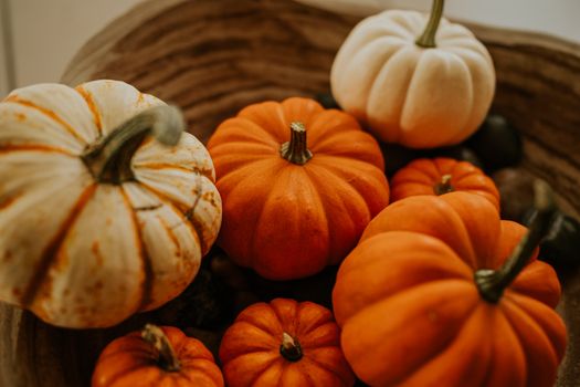 Gezin geniet tijdens de herfstvakantie van een boswandeling met warme drank en herfstkleuren